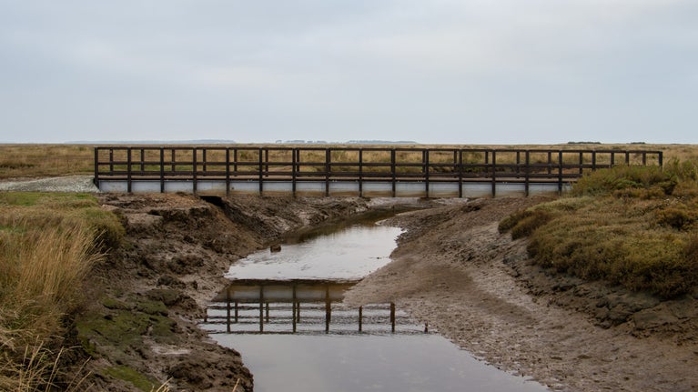 A view of the new footbridge spanning Cabbage Creek at low tide.